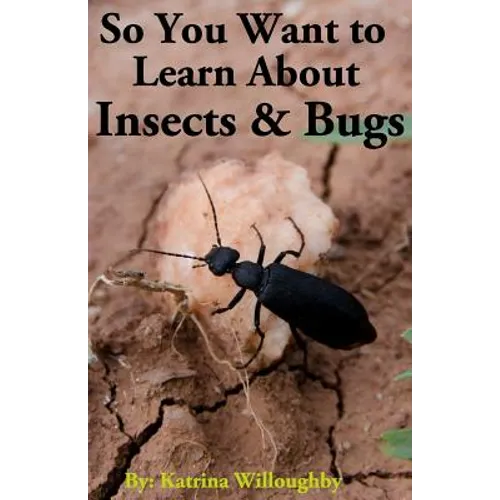 So You Want to Learn About Insects & Bugs