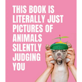 This Book Is Literally Just Pictures of Animals Silently Judging You