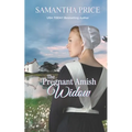 The Pregnant Amish Widow
