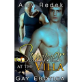 Summer at the Villa: Gay Erotica