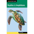 Reptiles & Amphibians