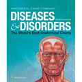 Diseases & Disorders: The World's Best Anatomical Charts