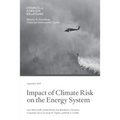 Impact of Climate Risk on the Energy System: Examining the Financial, Security, and Technology Dimensions