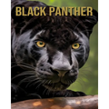 Black Panther: Amazing Picture and Facts About Black Panther for Children's