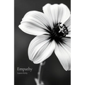 Empathy