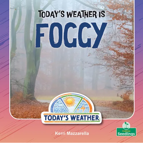 Today's Weather Is Foggy