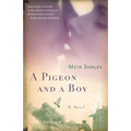 A Pigeon and a Boy