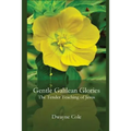 Gentle Galilean Glories: The Tender Teachings of Jesus