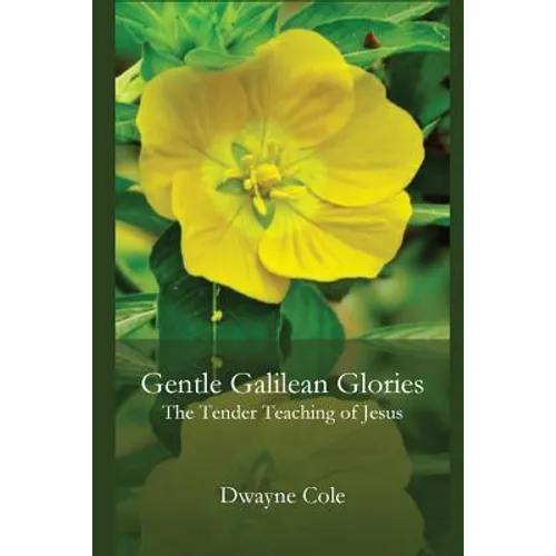 Gentle Galilean Glories: The Tender Teachings of Jesus