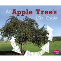 An Apple Tree's Life Cycle