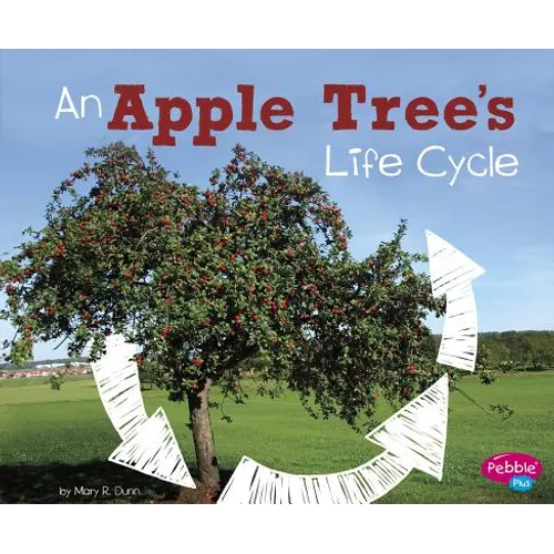 An Apple Tree's Life Cycle
