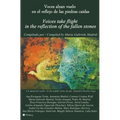 Voces alzan vuelo en el reflejo de las piedras caídas: Voices take flight in the reflection of the fallen stones