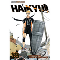 Haikyu!!, Vol. 19