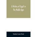 A history of Egypt in the Middle Ages