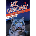 Ace Carroway and the Handsome Devil