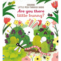 Are You There Little Bunny
