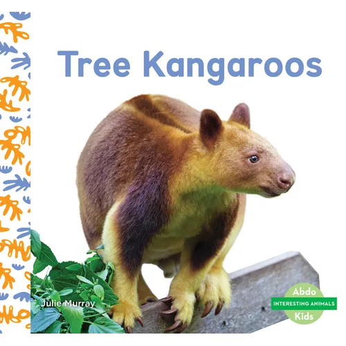 Tree Kangaroos
