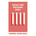 What Are Prisons For?