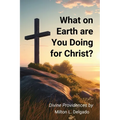 What on Earth are you Doing for Christ?