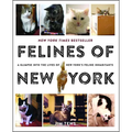 Felines of New York: A Glimpse Into the Lives of New York's Feline Inhabitants