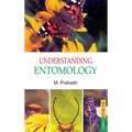 Understanding Entomology