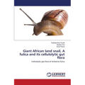 Giant African land snail, A fulica and its cellulolytic gut flora