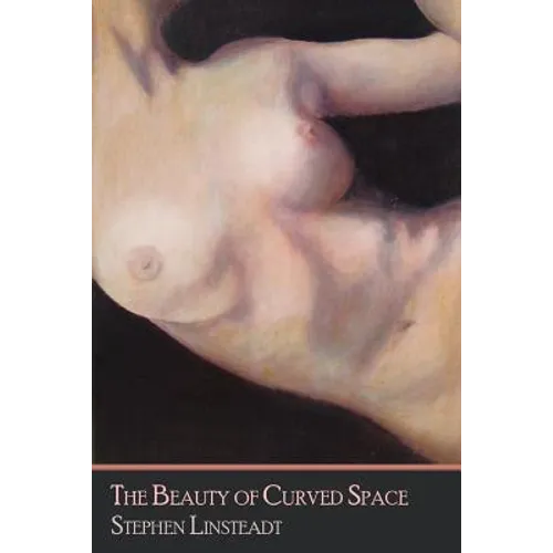 The Beauty of Curved Space