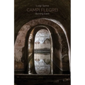 Campi Flegrei. Burning Earth
