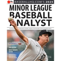 2025 Minor League Baseball Analyst