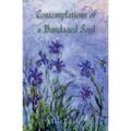 Contemplations of a Bandaged Soul: A Memoir and Other Thoughts Told Through Essays