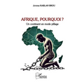 Afrique, Pourquoi ?: Un continent en mode pillage