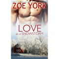 Love in a Snowstorm