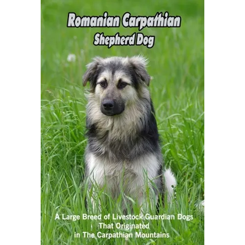 Romanian Carpathian Shepherd Dog: A Large Breed of Livestock Guardian Dogs That Originated in The Carpathian Mountains: What You Should Know About Rom