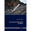 Gas Network Optimization by Minlp