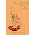 What Once Was An Inside Out Rainbow