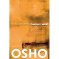 The Beauty of the Human Soul: Provocations Into Consciousness
