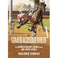 Somebeachsomewhere: A Harness Racing Legend from a One-Horse Stable