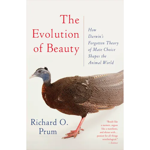 The Evolution of Beauty: How Darwin's Forgotten Theory of Mate Choice Shapes the Animal World - And Us