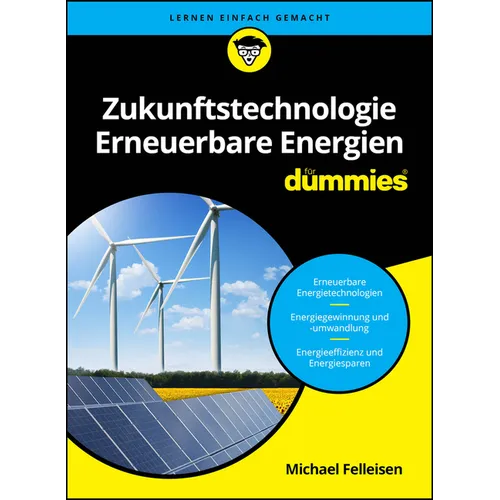 Zukunftstechnologie Erneuerbare Energien für Dummies