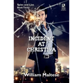 Incident at Christiva: An Espionage Novel: Spies & Lies, Book Three / Incident at Dupunu: An Espionage Novel: Spies & Lies, Book Four (Wildsi