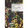 Preparation and Propagation of Vines