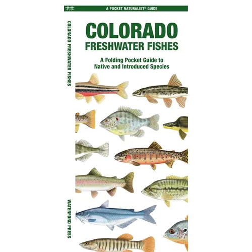 Colorado Freshwater Fishes: A Folding Pocket Guide to Native and Introduced Species