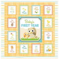 Baby's First Year