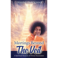 Meetings Beyond the Veil