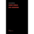 Amor venga sus agravios