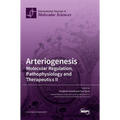 Arteriogenesis