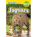 Jaguars: Rainforest Animals (Revive Readers, Level Pre-1)