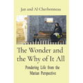 The Wonder and the Why of It All: Pondering Life from the Marian Perspective