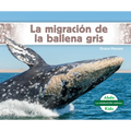 La Migración de la Ballena Gris (Gray Whale Migration)
