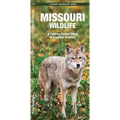 Missouri Wildlife: A Folding Pocket Guide to Familiar Animals